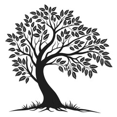 silhouette of tree on white background.