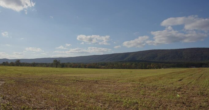 Static shot of a wooded forest area in Pennsylvania. Great for backplates, travel, nature, or establishing shots. For projects requiring longer clips in higher resolution, visit StockPlates.