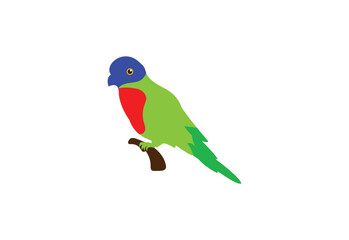 Bird logo design, Vector design Concept