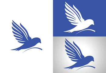 Bird logo design, Vector design Concept