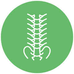 Spinal Care Vector Icon
