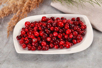Ripe sweet sour cranberry heap