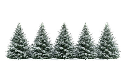 Snow-covered evergreen trees create a serene winter scene, showcasing their lush foliage and delicate branches. isolated on white background.