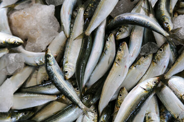 Obraz premium Fishmarket in Oman. Daily fresh catch.