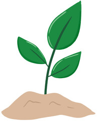 green plant