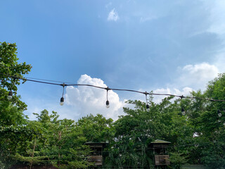 garden lights hanging against a backdrop of trees and a bright blue sky with a few white clouds