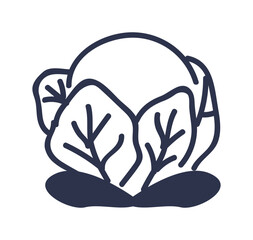 Simple line art of a cabbage with leaves, symbolizing freshness and organic farming.
