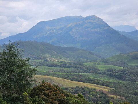 Stunning view of the mountain valley in Munnar, Idukki, Kerala, India. 