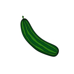 Illustration cucumber vegetable of nutrition 