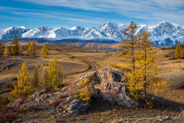Mountainous landscape with snow-covered peaks and yellow trees under blue sky during autumn