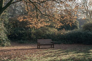 Solitary bench under a tree in a peaceful park surrounded by autumn leaves and soft light Generative AI
