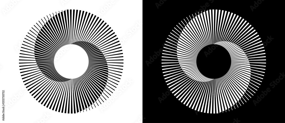 Poster Set of circles with lines. Lines in one color with different thickness. Black spiral on white background and white spiral on black background. Dynamic design element, logo or icon.