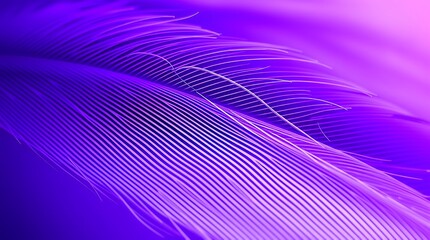 Purple feather close-up, delicate lines, soft light, vibrant color, textured surface, macro shot, abstract form, gentle curves, detailed plume, ethereal quality