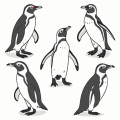 Obraz premium Penguin Poses: A collection of charming illustrations depicting penguins in various poses, capturing their unique personalities and the playful essence of these beloved flightless birds.