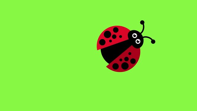 Cartoon ladybug with big eyes and black spots on red wings