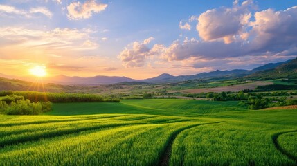 Obraz premium Serene Sunrise Over Lush Green Rice Fields Amid Rolling Hills