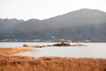 Peaceful island shrine on Lake Kawaguchi, surrounded by golden reeds and mountains