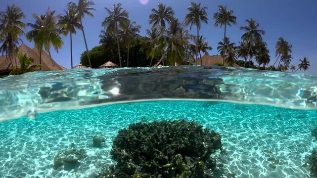Underwater view of coral formations in the Maldives, with palm trees and beachside structures visible above the waterline.