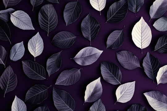 Close up of fallen leaves with purple background, creating a serene and autumnal theme.