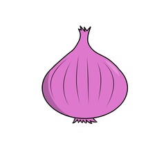 Illustration onion vegetable of nutrition 