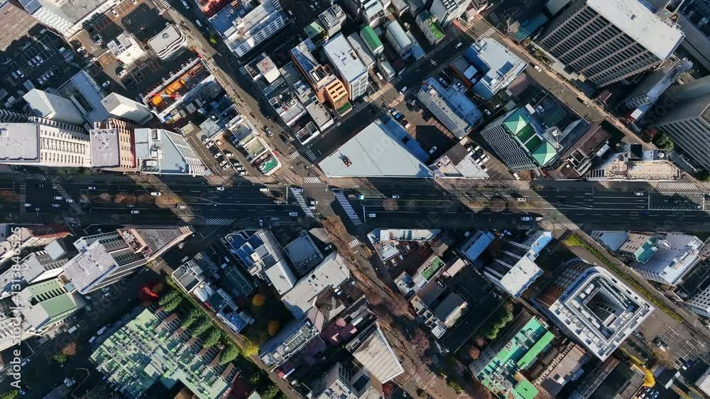 Poster 都市、交通、道路、空撮、街、町並み、真俯瞰、ドローン、社会、真上、風景、不動産、産業、ビジネス、経済、テクノロジー、自動車、景色、インフラ、建設、住宅、都会、ハイアングル、見下ろす、上から見た、鳥瞰図、ビル群、暮らし、行政、公共、時代、現代、屋上、進化、開発、成長、発展、企業、俯瞰、交差点、商業、ダイナミック、迫力、昼間、衛星、環境、日本、60p、FIX