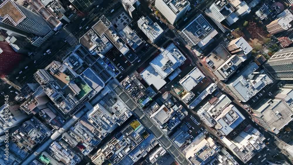 Poster 都市、ドローン、交通、道路、空撮、街、真俯瞰、社会、真上、不動産、産業、ビジネス、経済、テクノロジー、自動車、インフラ、建設、景色、住宅、風景、都会、ハイアングル、見下ろす、上から見た、鳥瞰図、ビル群、暮らし、行政、公共、時代、現代、屋上、前進、進歩、進化、開発、成長、発展、企業、俯瞰、経営、交差点、商業、迫力、昼間、衛星、環境、日本、60p、町並み