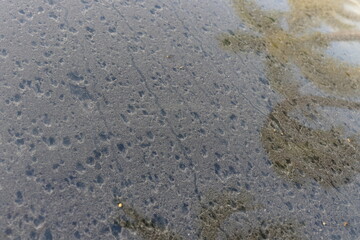 Dust on windshield of car with reflection tree and some spot of raindrop on surface.