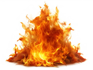 fire on a white background