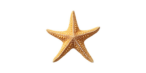 Yellow starfish with textured surface isolated on transparent background