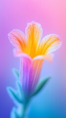 Fototapeta premium Soft Macro Close Up of Yellow Freesia Flower With Delicate Petals and Gentle Pastel Background Creating a Fresh Floral Mood