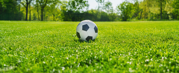 textured soccer game field with ball in front of the soccer goal. - center, midfield
