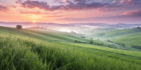 Fototapeta premium A dreamy sunrise over rolling green hills covered in fresh spring dew