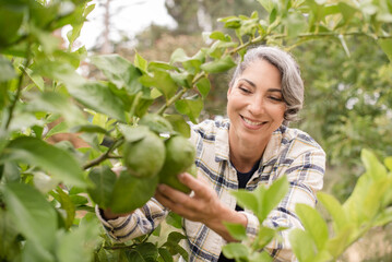 Woman smiling while cutting a lemon