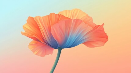 Fototapeta premium Pastel poppy flower, soft background, spring nature, greeting card design