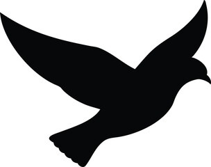 Obraz premium flying dove on white background