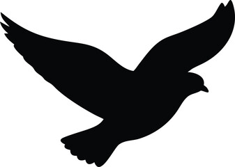 Obraz premium Silhouette of a soaring dove on a white background