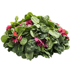 A Pile of Fresh Spinach with Bright Green Tender Leaves Isolated on Transparent Background