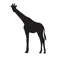 giraffe silhouette