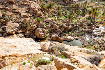 Canyn Barranco de las Penas, Fuerteventura, Canary Islands, Spain, Europe.