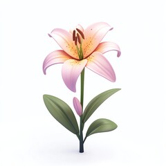 Obraz premium Isolated Pink and Yellow Lily Flower on White Background Illustration