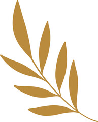 hand drawn vector illustration of a fall autumn leaf