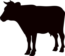 cow black silhouette, vector on white background