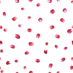 Pomegranate seeds watercolor seamless pattern isolated on white background. High quality hand drawn realistic fruit elements for fall harvest cards, wrapping paper, textile, prints. Autumn clip art