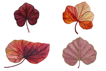 Fall leaf embroidery art nature decorative content studio close-up autumn colors and textures
