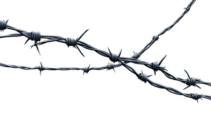 "Barbed wire strands lying flat in an intricate pattern, isolated on a transparent background