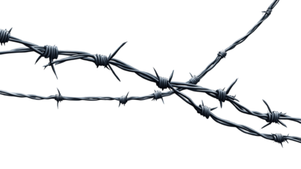 "Barbed wire strands lying flat in an intricate pattern, isolated on a transparent background