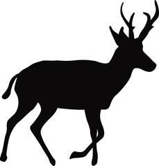 Deer Vector Illustration – Majestic Wildlife Animal in Nature