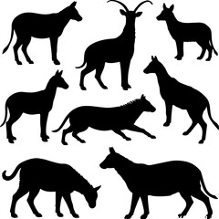 A grid of seven black silhouette illustrations of horses in various poses, with one illustration of a horned animal, possibly a goat.