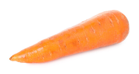 One fresh carrot isolated on white. Root vegetable