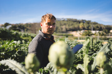 Farmer monitoring artichoke growth, implementing sustainable and ecological practices in his agricultural field, utilizing a tablet for data analysis and efficient resource management